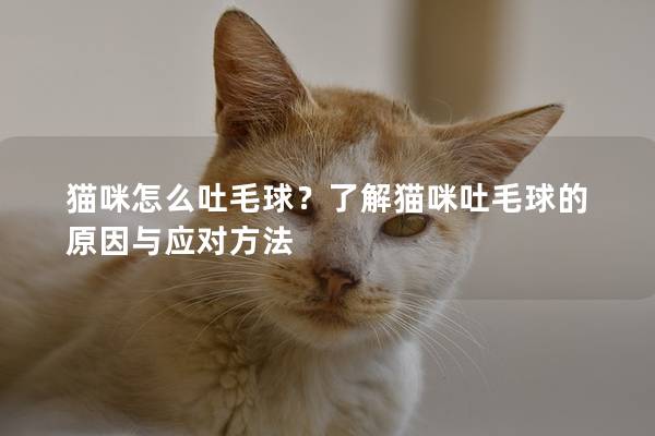 猫咪怎么吐毛球？了解猫咪吐毛球的原因与应对方法