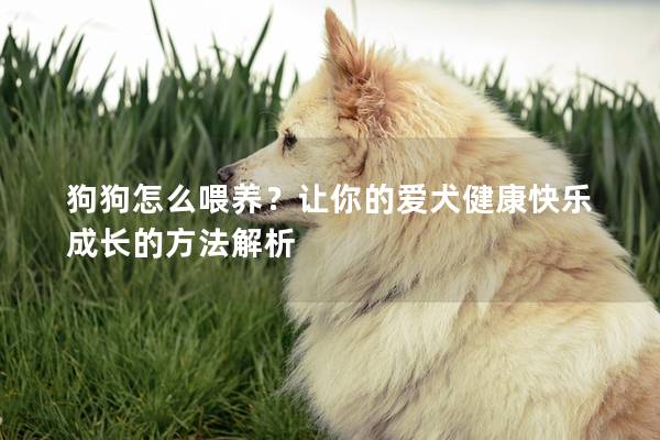 狗狗怎么喂养？让你的爱犬健康快乐成长的方法解析