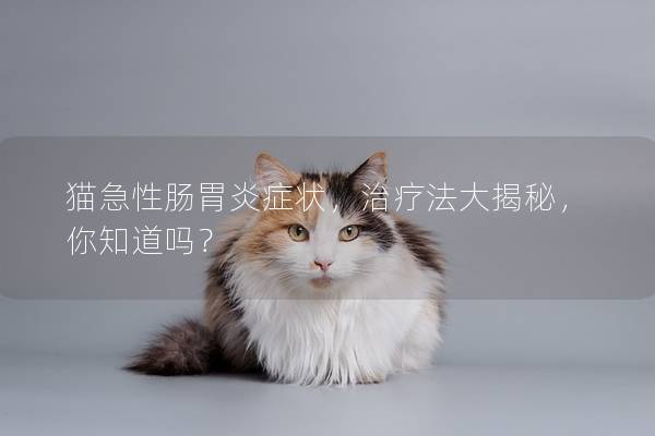 猫急性肠胃炎症状，治疗法大揭秘，你知道吗？