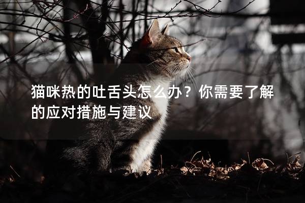 猫咪热的吐舌头怎么办？你需要了解的应对措施与建议