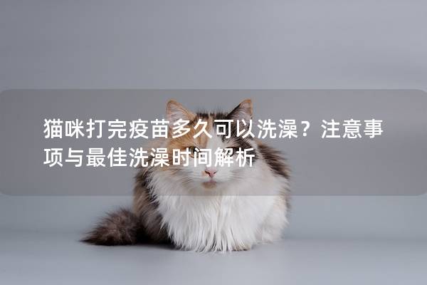 猫咪打完疫苗多久可以洗澡？注意事项与最佳洗澡时间解析