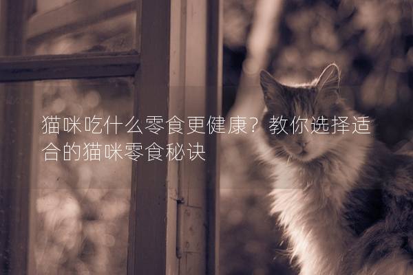 猫咪吃什么零食更健康？教你选择适合的猫咪零食秘诀