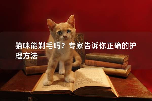 猫咪能剃毛吗？专家告诉你正确的护理方法