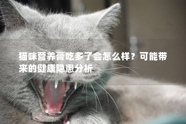 猫咪营养膏吃多了会怎么样？可能带来的健康隐患分析