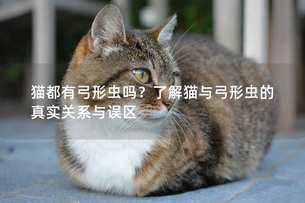 猫都有弓形虫吗？了解猫与弓形虫的真实关系与误区