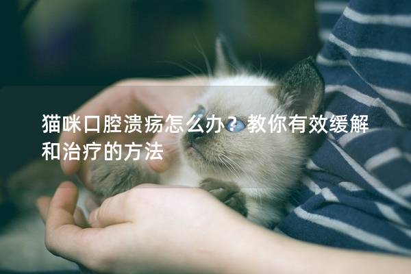 猫咪口腔溃疡怎么办？教你有效缓解和治疗的方法