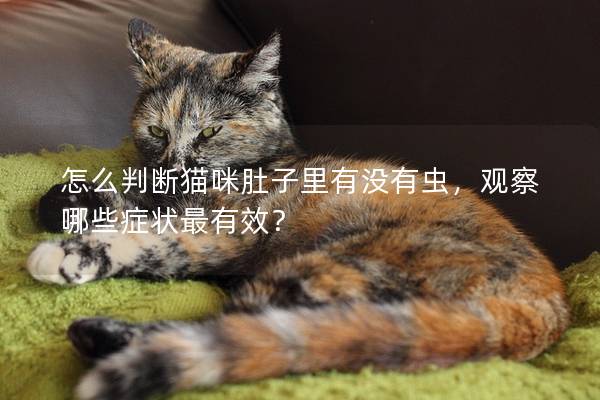 怎么判断猫咪肚子里有没有虫，观察哪些症状最有效？