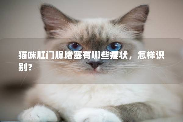 猫咪肛门腺堵塞有哪些症状，怎样识别？