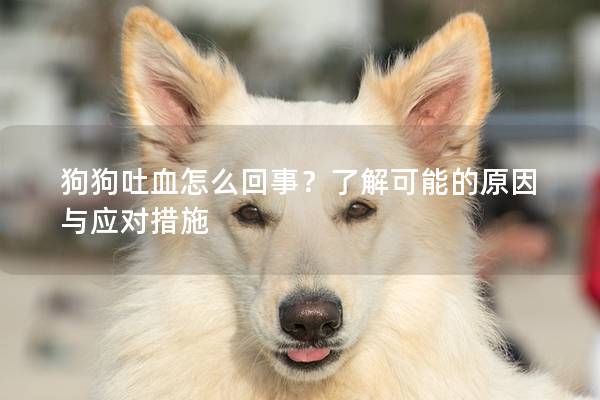 狗狗吐血怎么回事？了解可能的原因与应对措施