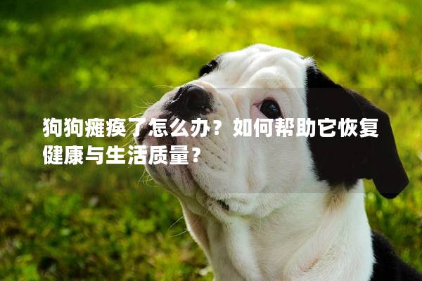 狗狗瘫痪了怎么办？如何帮助它恢复健康与生活质量？