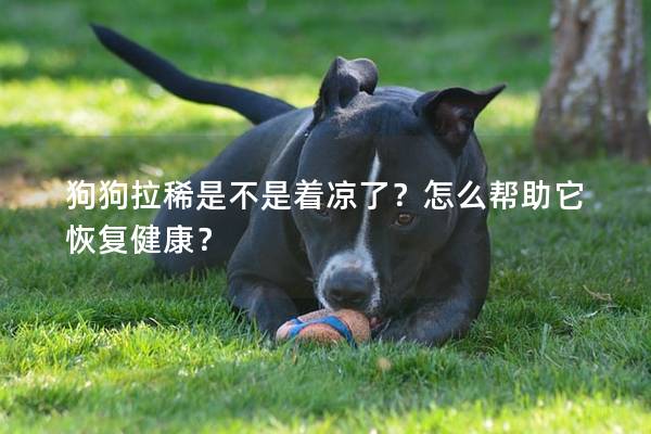 狗狗拉稀是不是着凉了？怎么帮助它恢复健康？