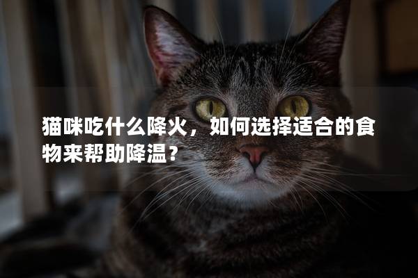 猫咪吃什么降火，如何选择适合的食物来帮助降温？