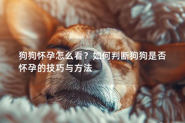 狗狗怀孕怎么看？如何判断狗狗是否怀孕的技巧与方法