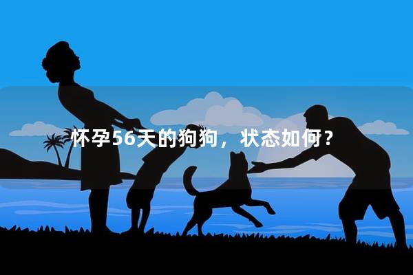 怀孕56天的狗狗，状态如何？