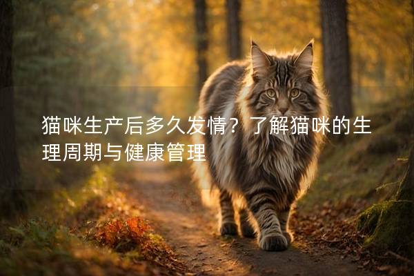 猫咪生产后多久发情？了解猫咪的生理周期与健康管理