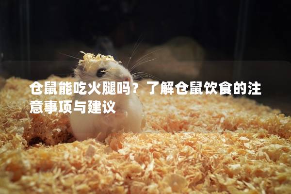 仓鼠能吃火腿吗?了解仓鼠饮食的注意事项与建议 仓鼠能吃火腿吗?了解仓鼠饮食的注意事项与建议