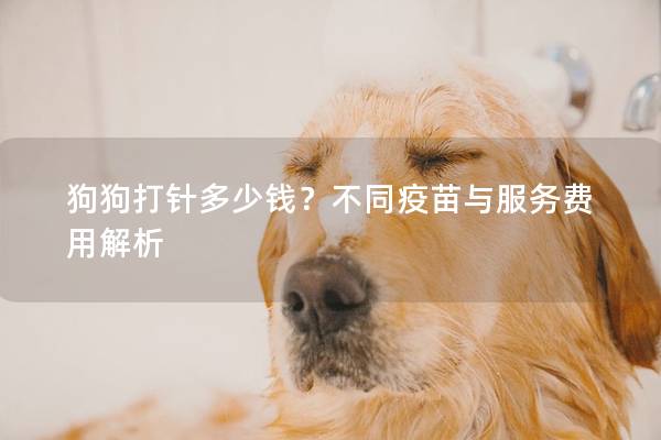 狗狗打针多少钱？不同疫苗与服务费用解析