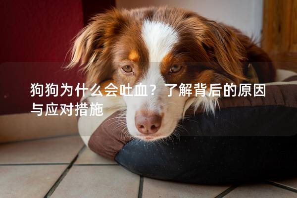 狗狗为什么会吐血？了解背后的原因与应对措施