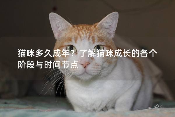 猫咪多久成年？了解猫咪成长的各个阶段与时间节点