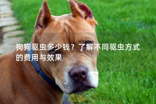 狗狗驱虫多少钱？了解不同驱虫方式的费用与效果