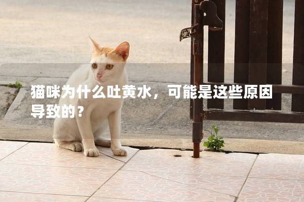 猫咪为什么吐黄水，可能是这些原因导致的？