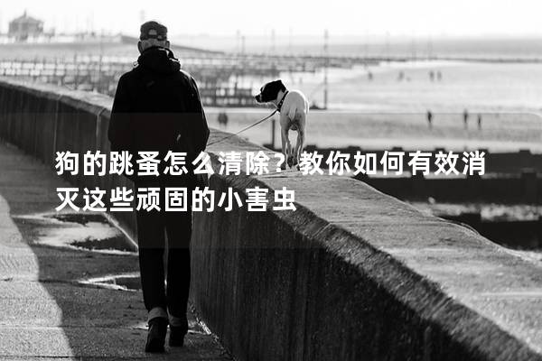 狗的跳蚤怎么清除？教你如何有效消灭这些顽固的小害虫