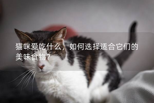 猫咪爱吃什么，如何选择适合它们的美味食物？