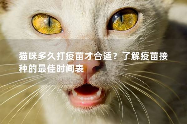 猫咪多久打疫苗才合适？了解疫苗接种的最佳时间表