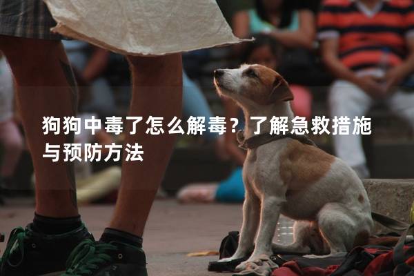 狗狗中毒了怎么解毒？了解急救措施与预防方法