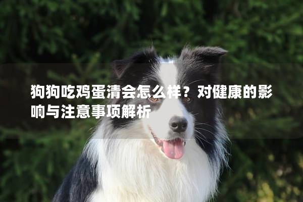 狗狗吃鸡蛋清会怎么样？对健康的影响与注意事项解析