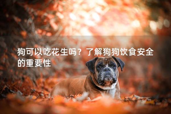 狗可以吃花生吗？了解狗狗饮食安全的重要性