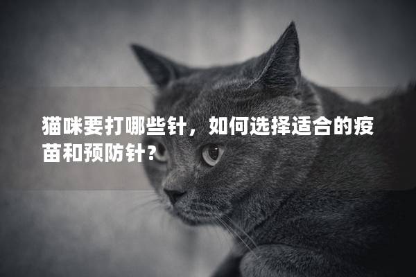 猫咪要打哪些针，如何选择适合的疫苗和预防针？