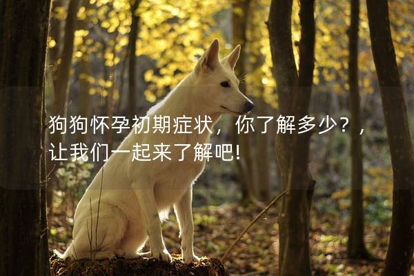 狗狗怀孕初期症状，你了解多少？,让我们一起来了解吧!