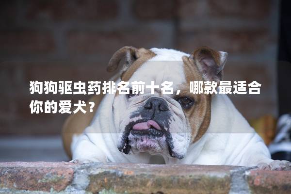 狗狗驱虫药排名前十名，哪款最适合你的爱犬？