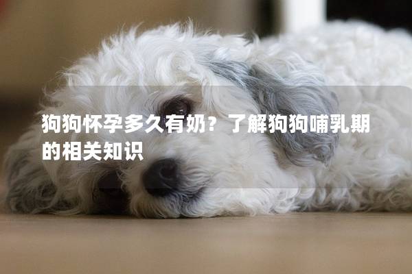 狗狗怀孕多久有奶？了解狗狗哺乳期的相关知识