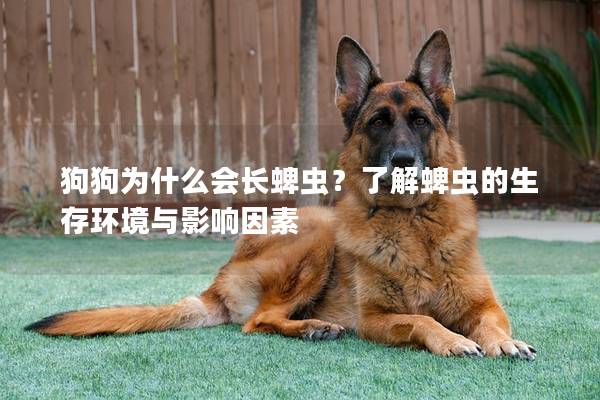 狗狗为什么会长蜱虫？了解蜱虫的生存环境与影响因素