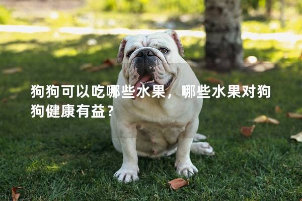 狗狗可以吃哪些水果，哪些水果对狗狗健康有益？