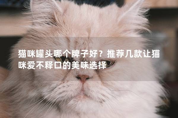 猫咪罐头哪个牌子好？推荐几款让猫咪爱不释口的美味选择