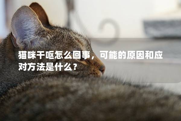 猫咪干呕怎么回事，可能的原因和应对方法是什么？