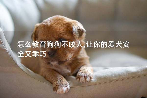 怎么教育狗狗不咬人,让你的爱犬安全又乖巧