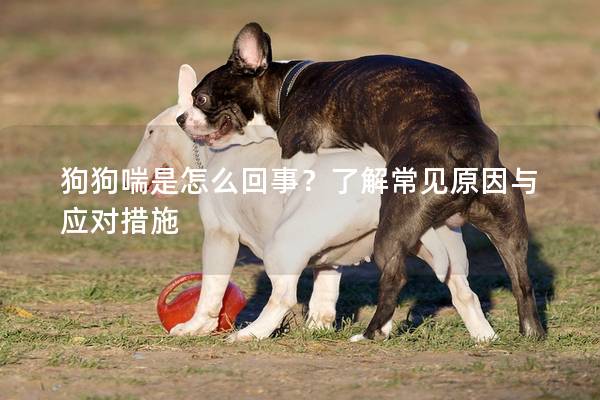 狗狗喘是怎么回事？了解常见原因与应对措施