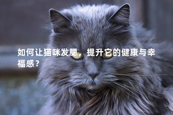 如何让猫咪发腮，提升它的健康与幸福感？