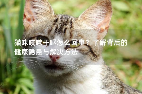 猫咪咳嗽干呕怎么回事？了解背后的健康隐患与解决方法