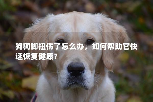 狗狗脚扭伤了怎么办，如何帮助它快速恢复健康？