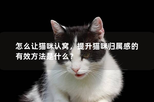 怎么让猫咪认窝，提升猫咪归属感的有效方法是什么？