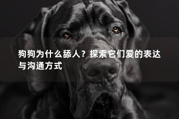 狗狗为什么舔人？探索它们爱的表达与沟通方式