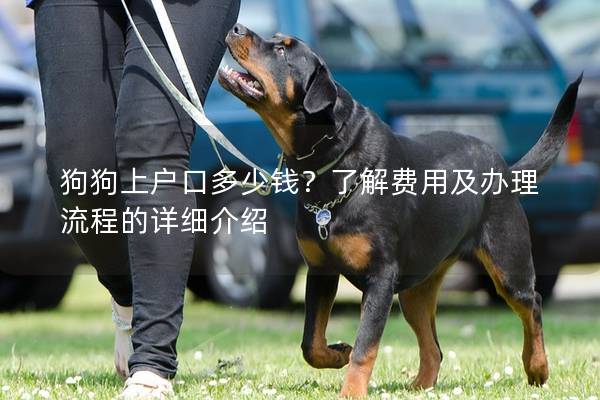 狗狗上户口多少钱？了解费用及办理流程的详细介绍