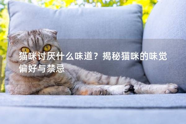 猫咪讨厌什么味道？揭秘猫咪的味觉偏好与禁忌