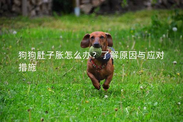 狗狗肚子胀怎么办？了解原因与应对措施