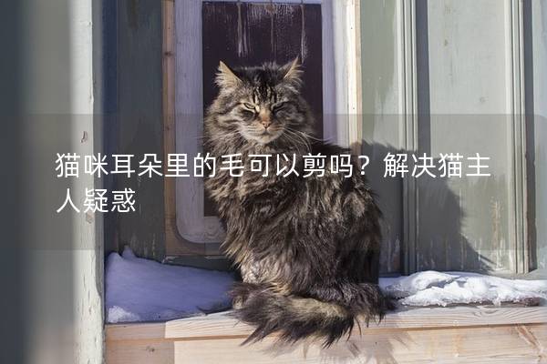 猫咪耳朵里的毛可以剪吗？解决猫主人疑惑